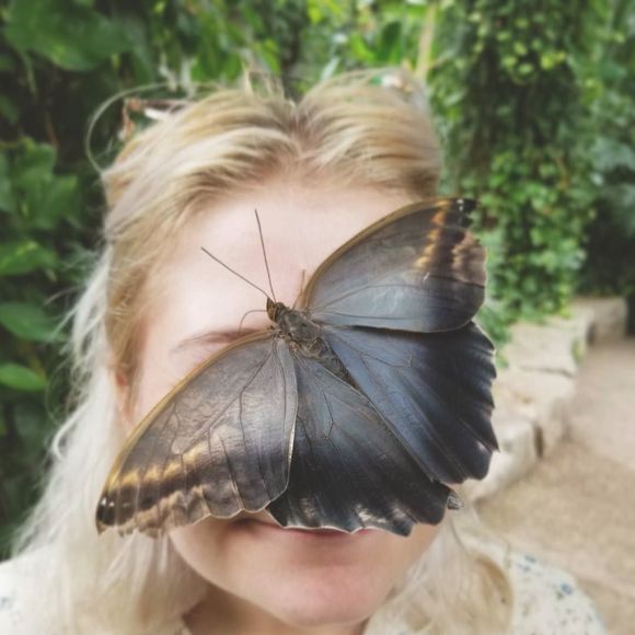 Meet your Posher, Ivy - Picture 1 of 1